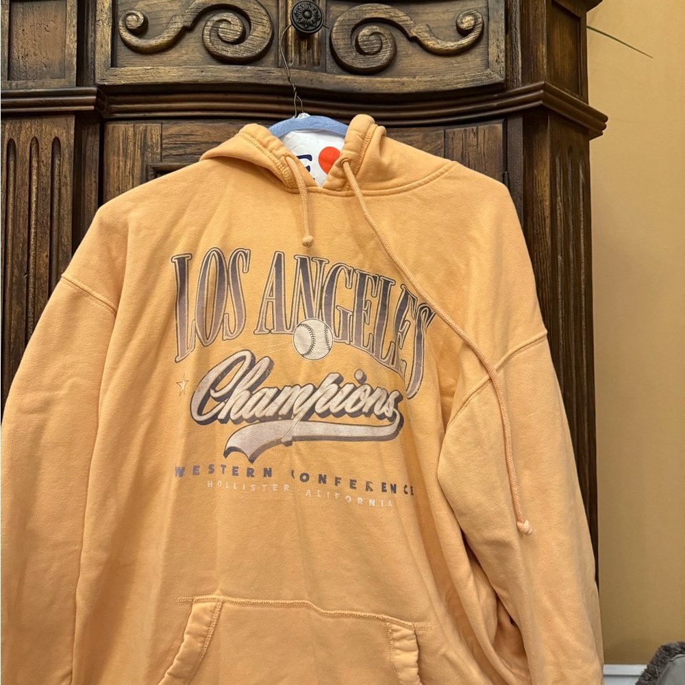 Hollister Los Angeles Champions Hoodie - Light Brown